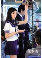 TEAM-065 通学途中に痴漢の手によって絶頂を教え込まれた女子校生 辻本杏