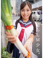 DORR-011 となりの癒らしM少女。～肉オナホとヌルヌルぐちょぐちょご近所コミュニケーション～ 有栖舞衣