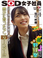 SHYN-214 天然アンダーヘア発見！？ ハダカになるより恥ずかしい！脱ぎキャンBOX野球拳 総務部 中途1年目 谷口柊樺