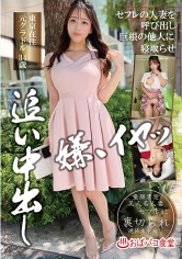 PAKO-100 セフレの人妻を呼び出し巨根の他人に寝取らせ追い中出し 東京在住元グラドル 34歳